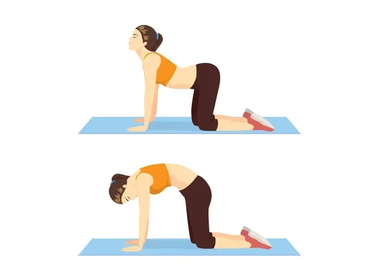 Herniated Disc: Cat-Cow Stretch