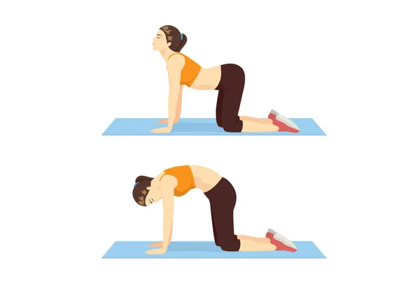 Sciatica Exercises: Cat-Cow Stretch