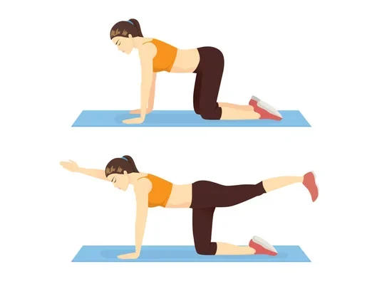 Lumbar Strain Recovery: Bird Dogs